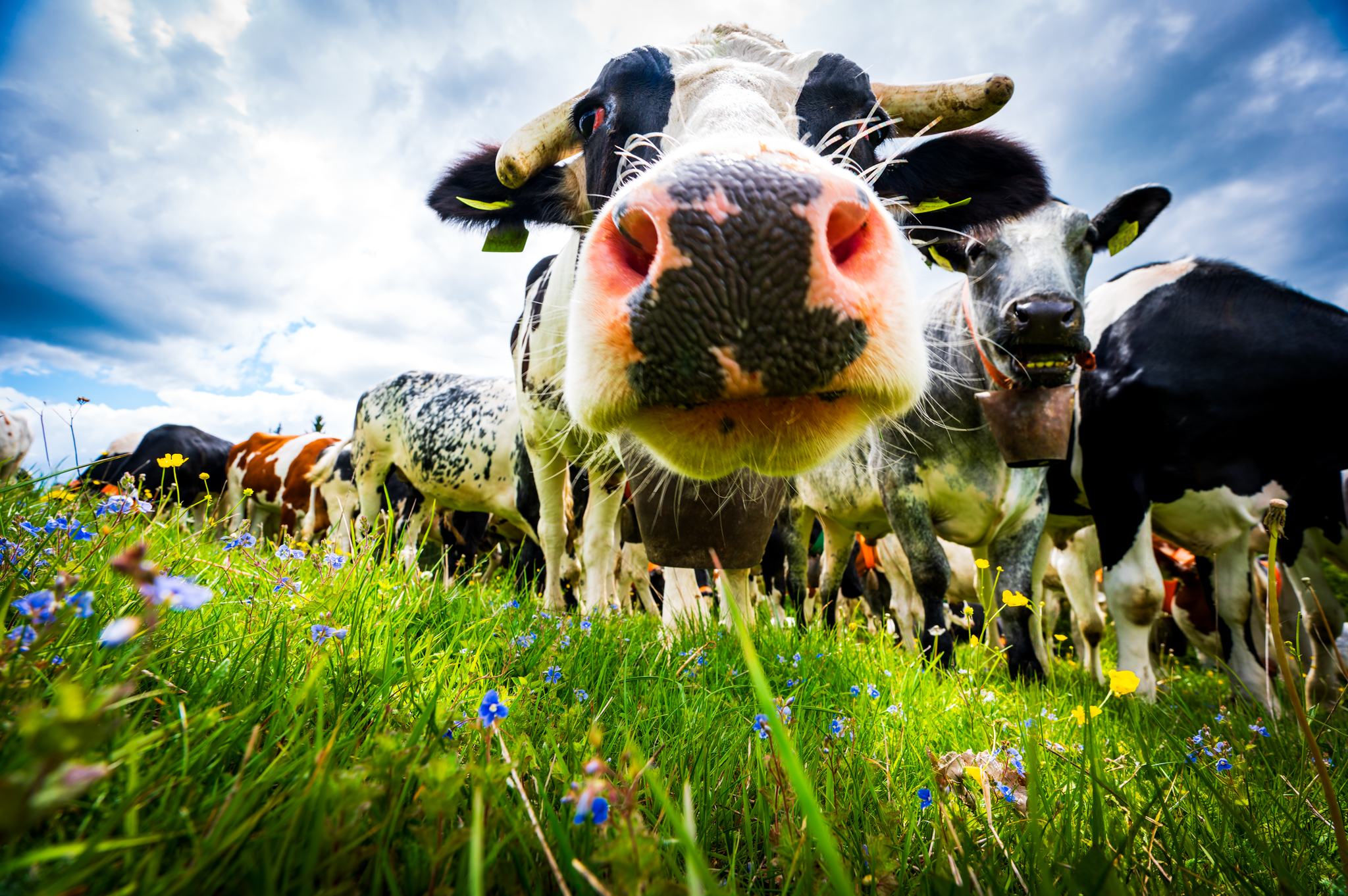 NZ6 7578 DxO DeepPRIME XD2s